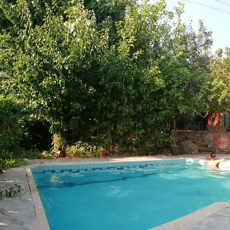 Mulberry Lejlighed Fethiye